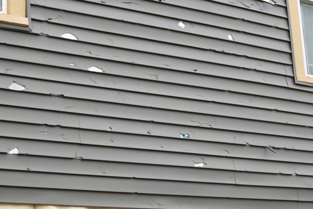 Best Siding for New Construction  in Geneva, AL